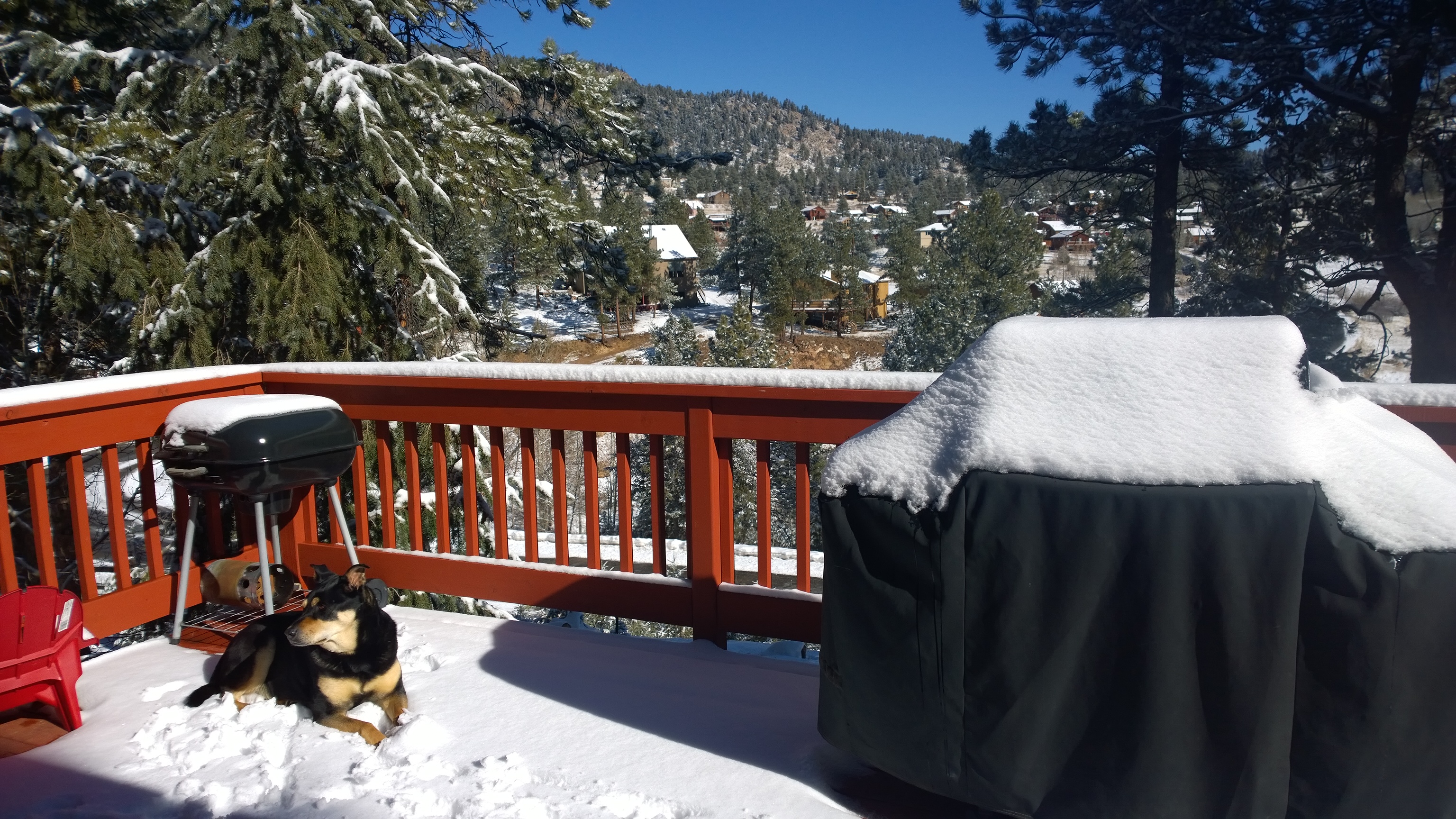 Picture of a deck on a sunny winter day with trees in background.